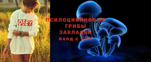 таблы Елизово