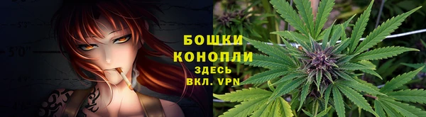 твердый Балахна