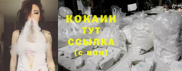 твердый Балахна