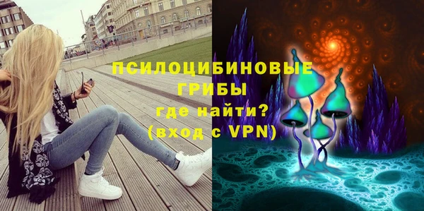 шишки Балабаново