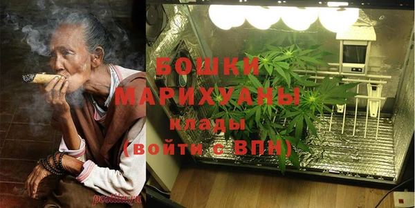 шишки Балабаново