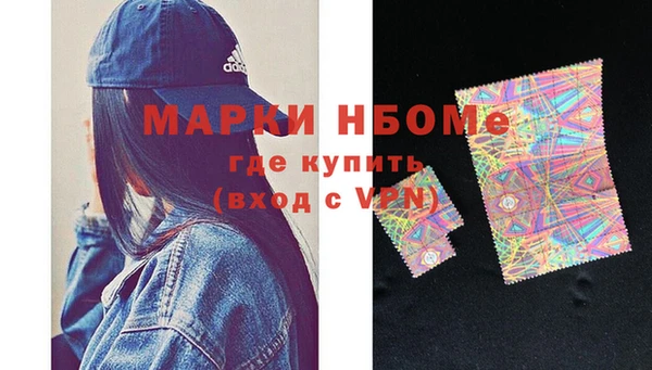 стаф Ельня