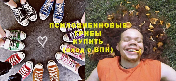 шишки Балабаново