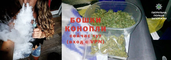 шишки Балабаново