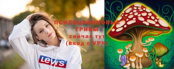 твердый Балахна