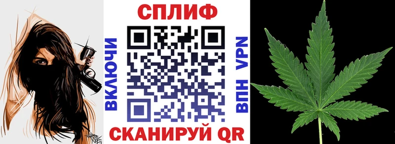Бошки Шишки тримм Курчатов